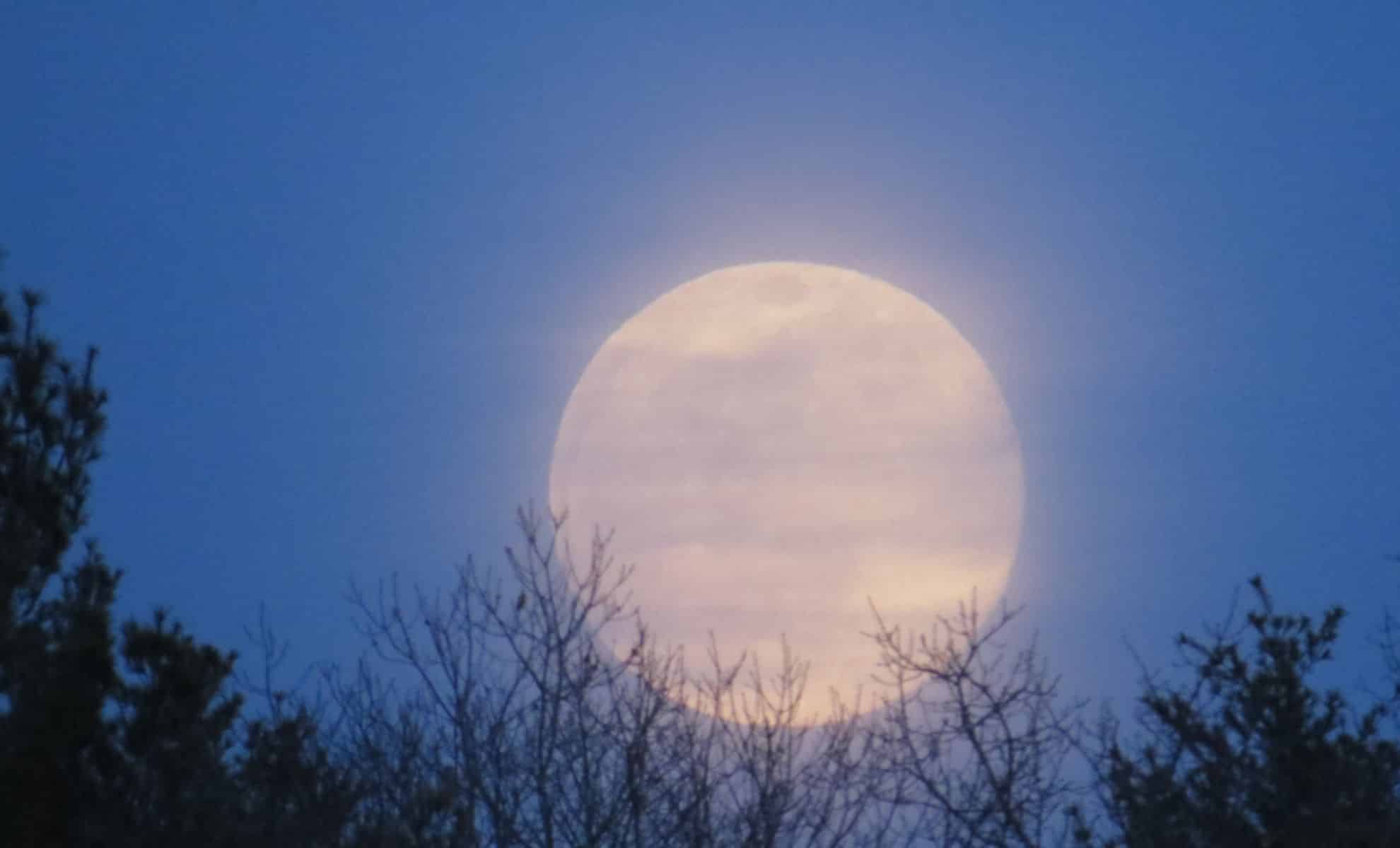 Brightest October Supermoon Of 2024 Hunter's Moon To Illuminate Night Skies