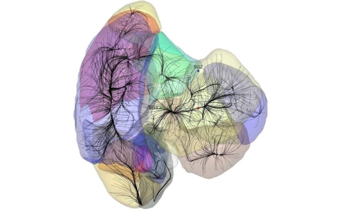 Discovery Of The Shapley Supercluster Expanding The Boundaries Of Our Cosmic Understanding