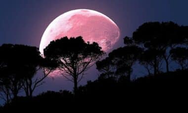 Don't Miss This Week's Spectacular Strawberry Moon A Celestial Delight