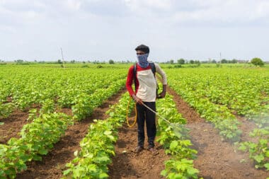 Eu Banned Pesticides Discovered Imported Products Sold Across France