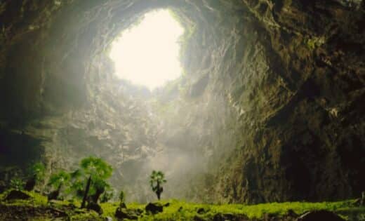 Hidden Forests China's Massive Sinkholes Reveal Ancient Ecosystems