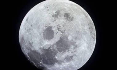 Why Are Scientists Planning to Send Endangered Animal Samples to the Moon?