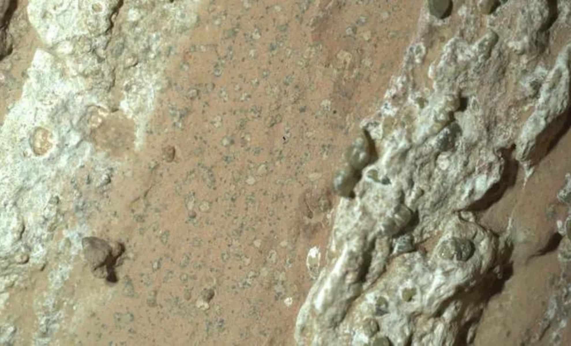 NASA's Perseverance Rover Discovers Rock on Mars with Potential Signs of Ancient Life