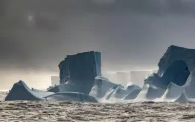 A23a Is The World's Largest Iceberg, Twice The Size Of Greater London Chris Waltonbas