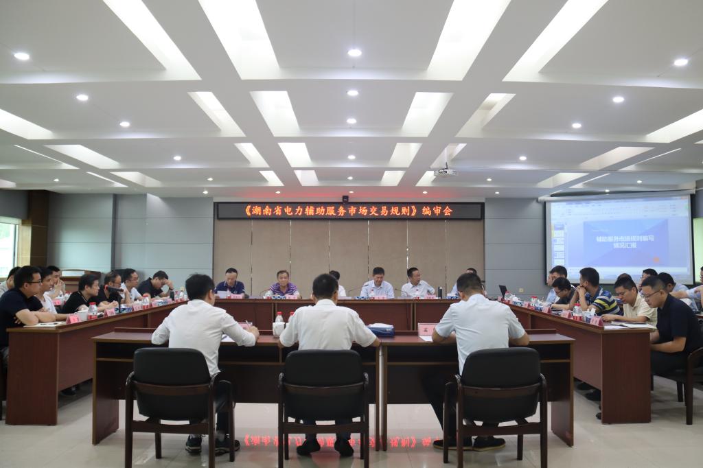 《湖南省电力辅助服务市场交易规则》编审会在株洲航电分星空官方网页版召开