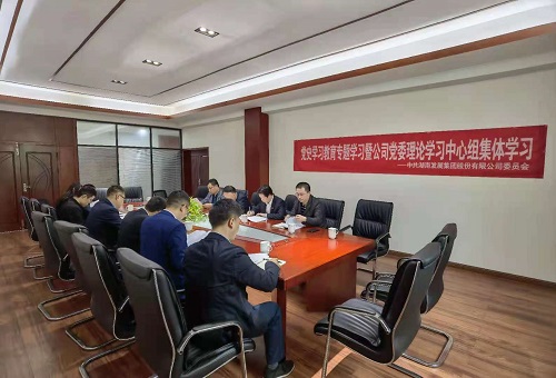 星空官方网页版党委深入一线开展党史学习教育