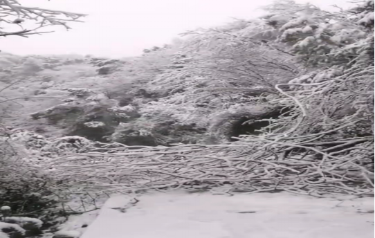 战暴雪、保供电！星空(中国)鸟儿巢星空官方网页版应对极端天气紧急抢修失电故障