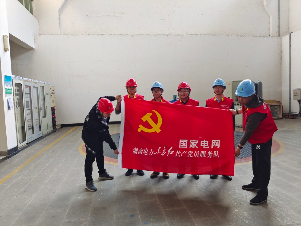 鸟儿巢星空官方网页版党支部与国网怀化供电星空官方网页版电力调控中心党支部开展党建联建活动